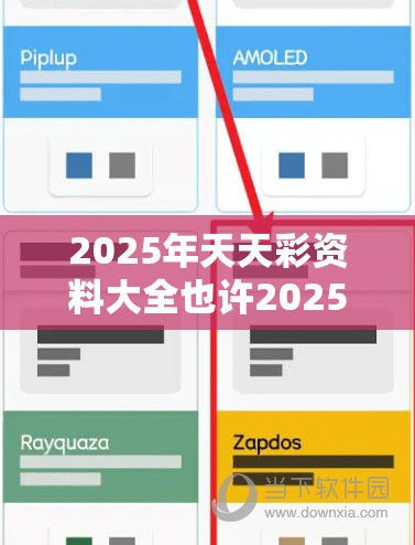 2025年天天彩资料大全也许2025年新澳门记录查询，透彻剖析、解释与落实-抵制不实的假包装